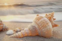 Impression sur toile Laquée Plage cadre bois