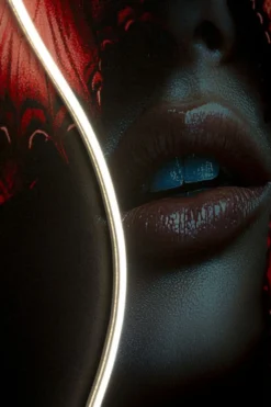 Impression sur toile Papillons rouges 3D avec LED