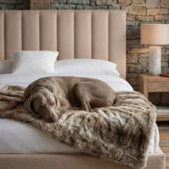 Lit Coffre Songe + Sommier Tissu Beige 180cm