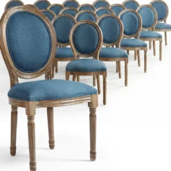 Lot de 20 chaises de style médaillon Louis XVI Tissu Bleu
