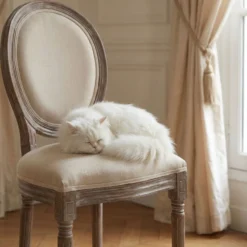 Lot de 20 chaises médaillon Louis XVI Tissu Beige