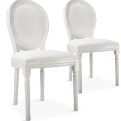Lot de 20 chaises médaillon Louis XVI Simili (P.U) Blanc