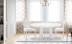 Lot de 20 chaises médaillon Louis XVI Simili (P.U) Blanc