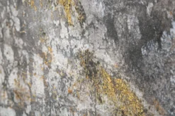 Peinture sur toile Bouddha multicolore cadre en bois massif applications dorées