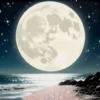 Tableau paysage nocturne cadre Laqué