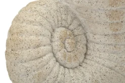 Vase en forme de coquillage sablé