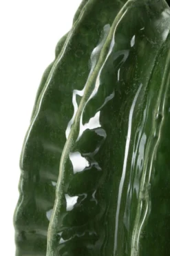 Vase rond Cactus finition brillante